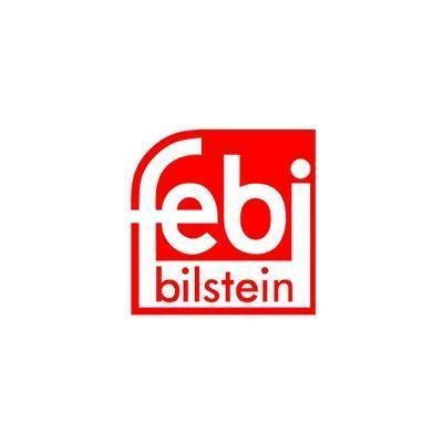 Logo febi